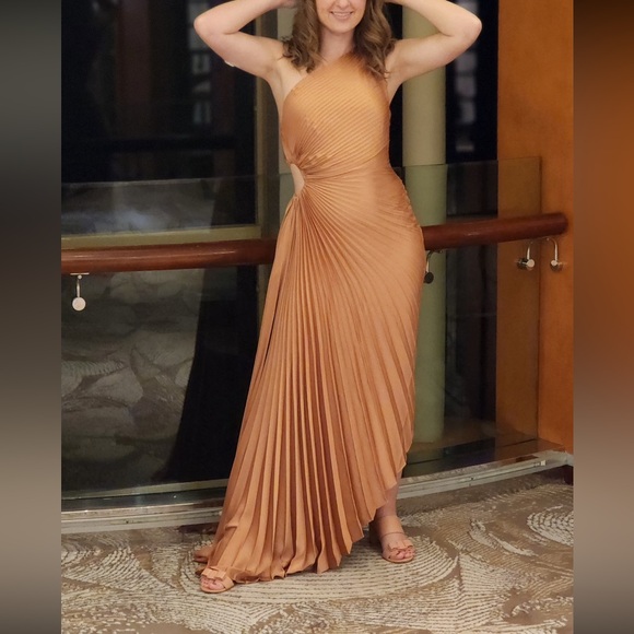 Nwt! ALC Delphina dress size 2 - Picture 9 of 9